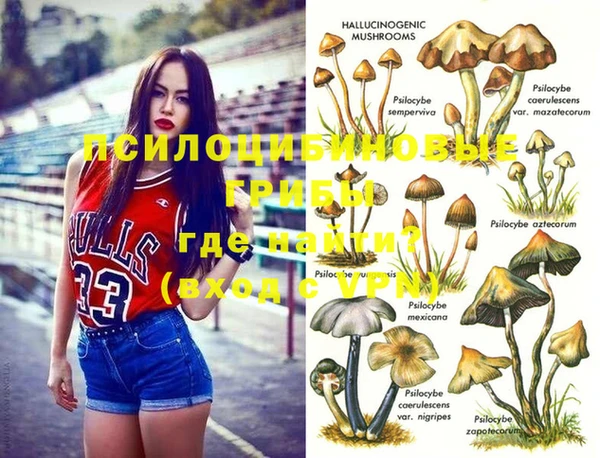 мяу мяу кристалл Алексин
