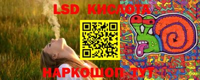 гашик Кулебаки