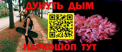 гашик Кулебаки