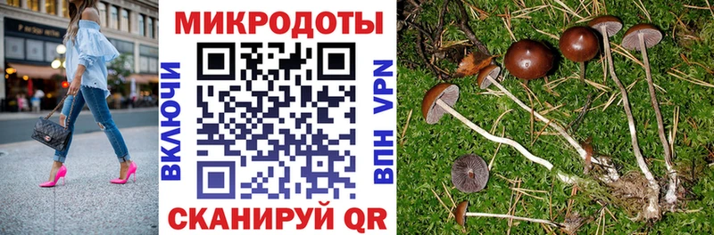 Псилоцибиновые грибы Psilocybe  наркошоп  Губкин 