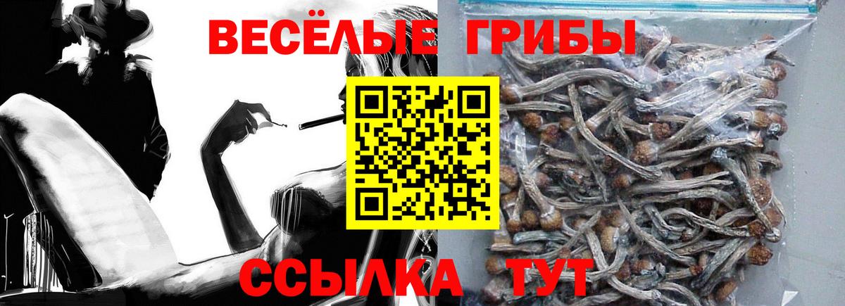 Галлюциногенные грибы прущие грибы  Вход с VPN  Губкин 
